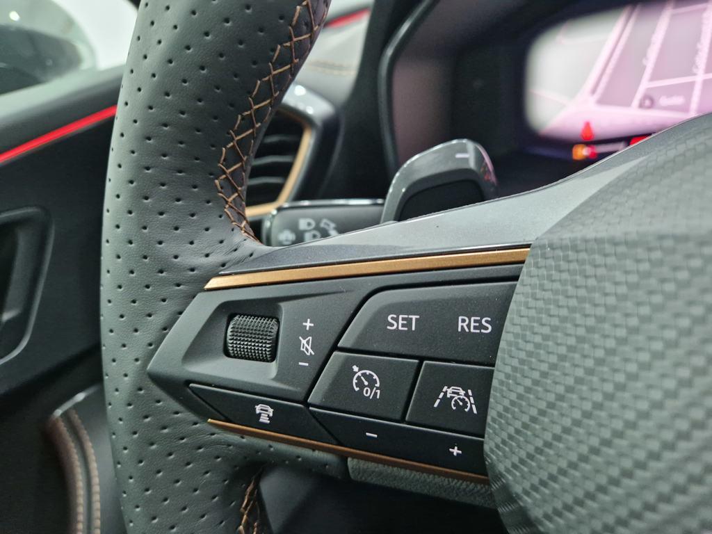 CUPRA Formentor 2.0 TDI 4Drive DSG 110 kW (150 CV) - 9