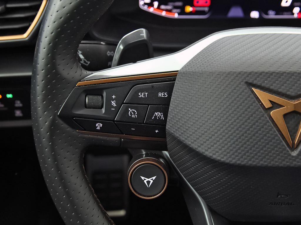 CUPRA Formentor 2.0 TSI VZ 4Drive DSG 228 kW (310 CV) - 11