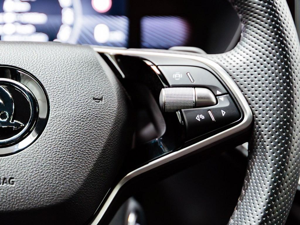 Skoda Fabia 1.5 TSI Monte Carlo DSG 110 kW (150 CV) - 12