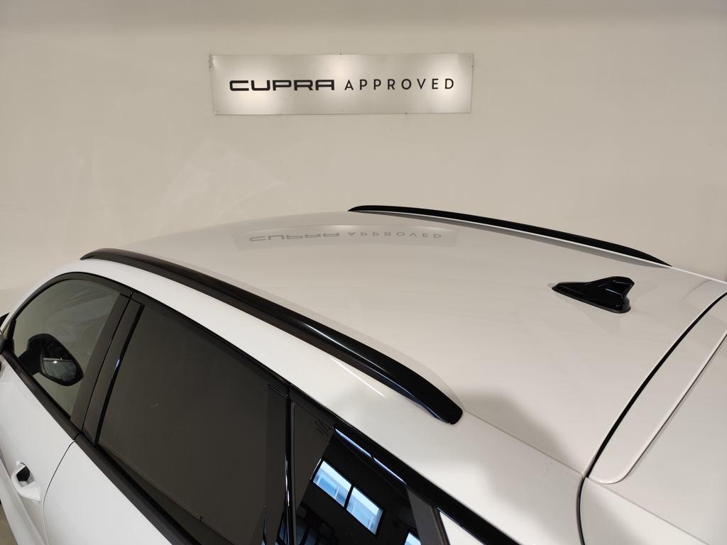 CUPRA Terramar 1.5 eTSI DSG 110 kW (150 CV) - 8