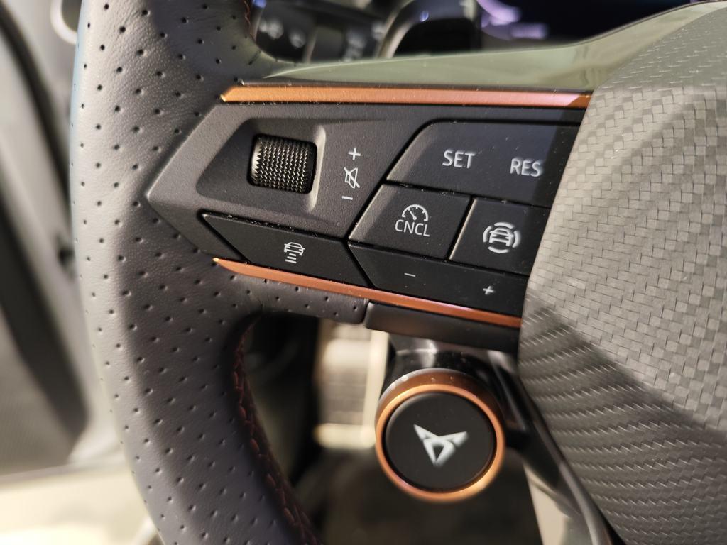 CUPRA Terramar 1.5 eTSI DSG 110 kW (150 CV) - 13