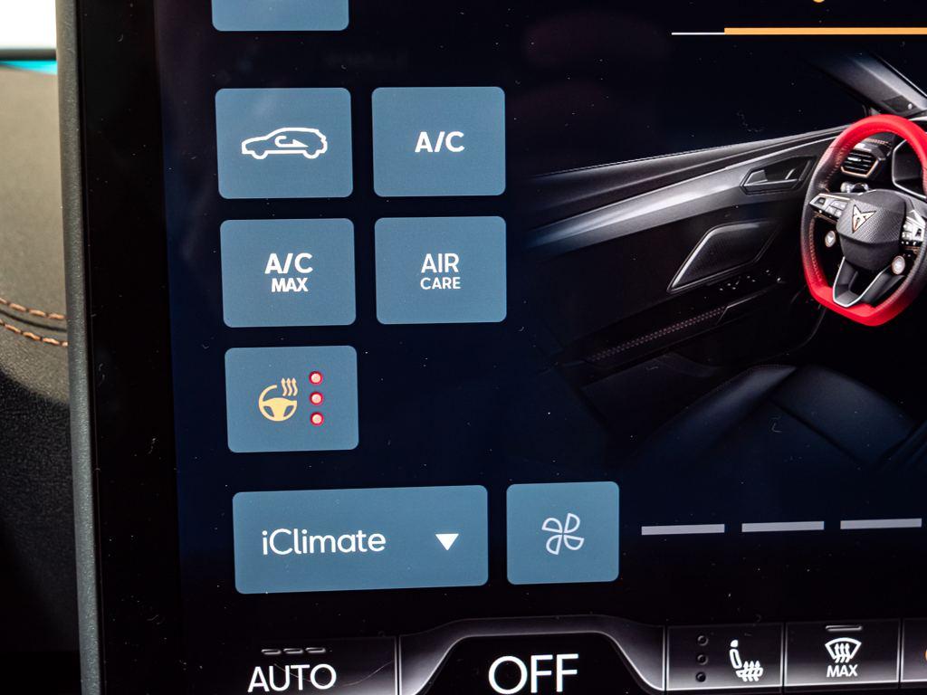 CUPRA León 2.0 TDI DSG 110 kW (150 CV) - 19