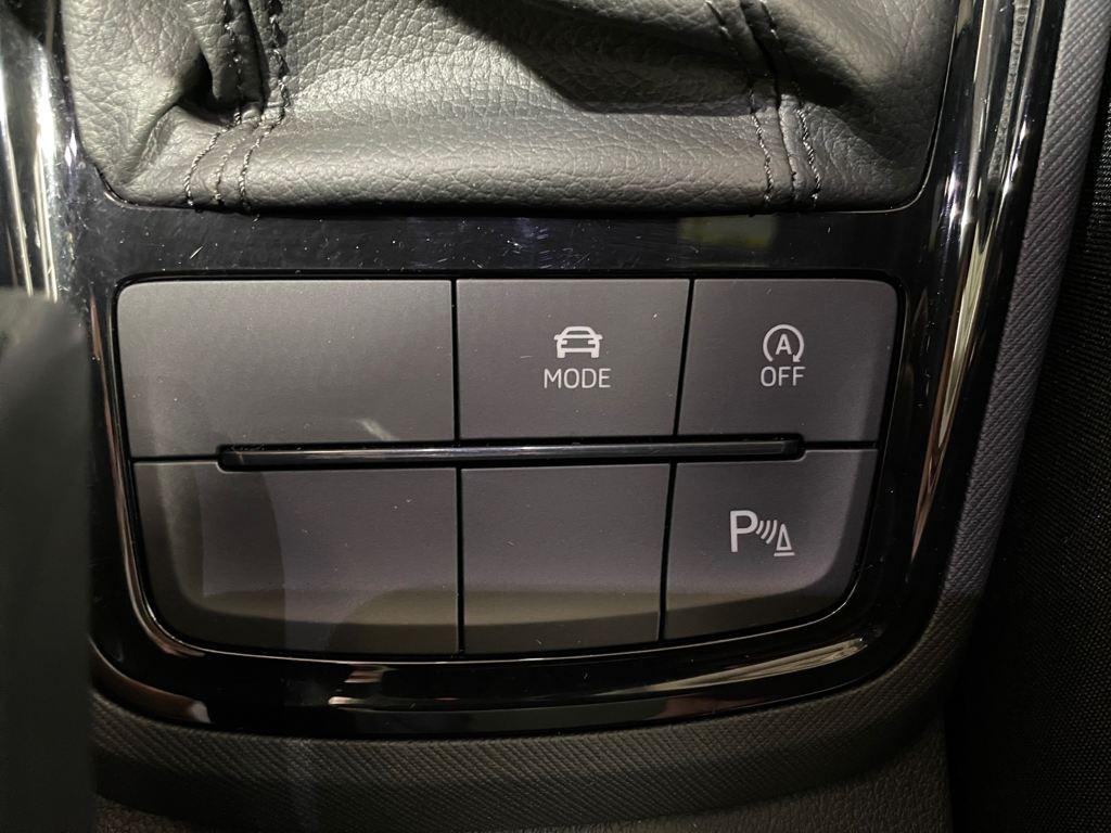 Skoda Kamiq 1.0 TSI Monte Carlo DSG 85 kW (115 CV) - 17