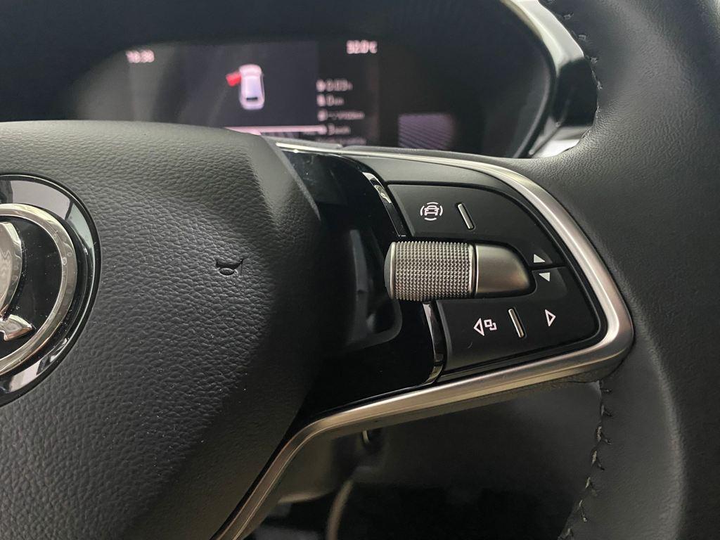 Skoda Fabia 1.0 MPI Selection 59 kW (80 CV) - 12