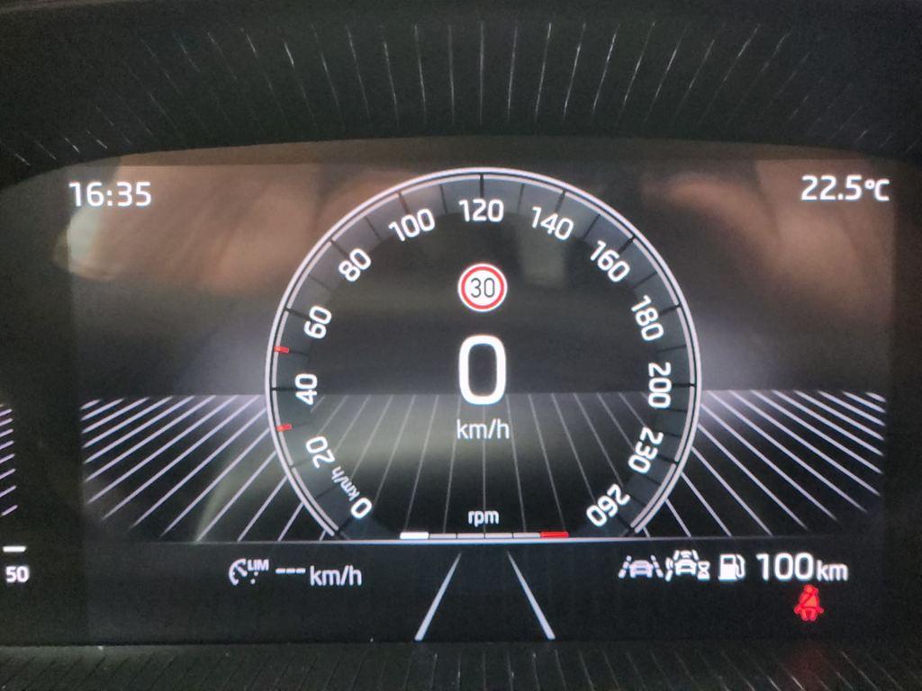 Skoda Fabia 1.0 TSI Design 85 KW (115 CV) - 12