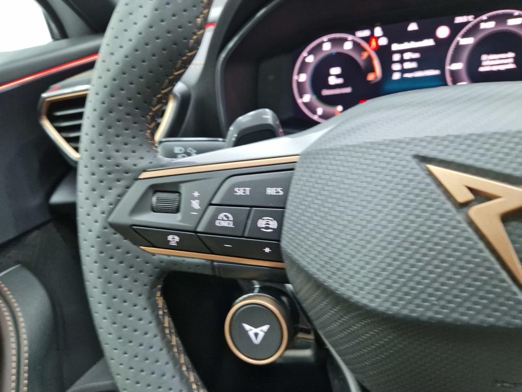 CUPRA Formentor 1.5 TSI e-Hybrid DSG 150 kW (204 CV) - 10