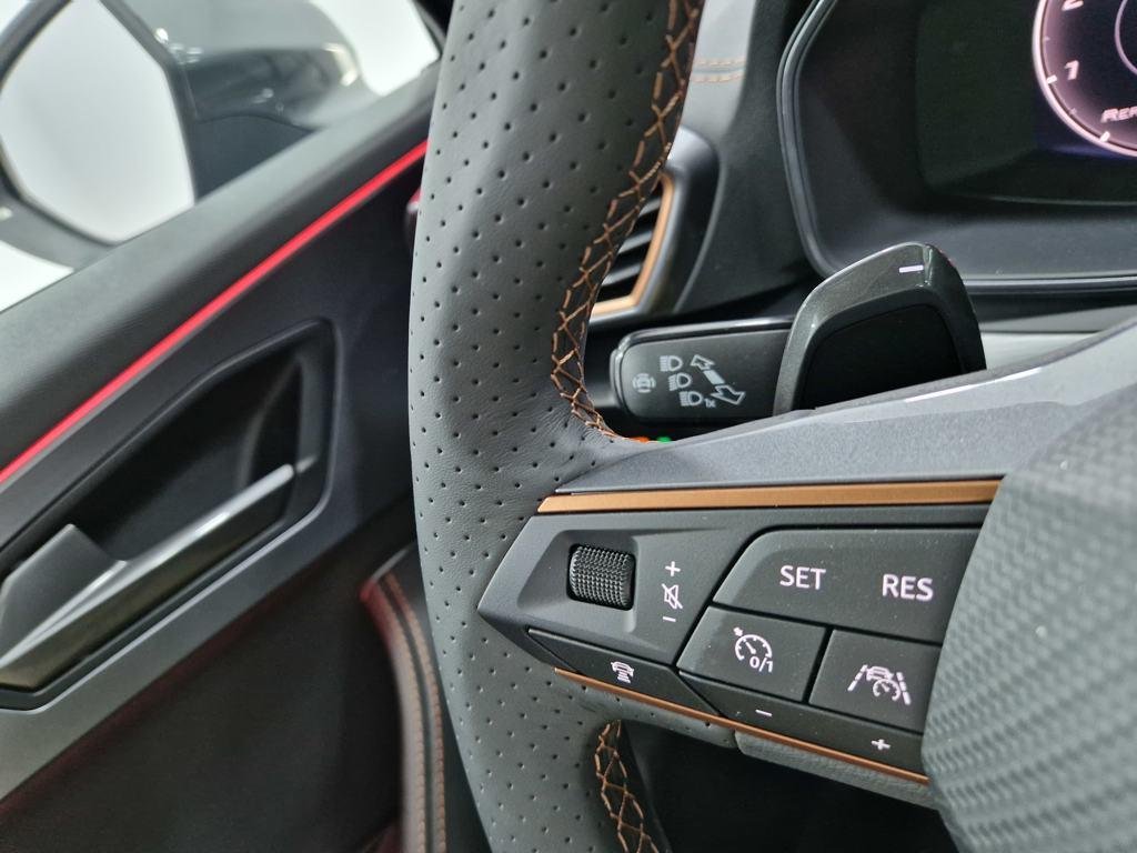 CUPRA Formentor 2.0 TDI 4Drive DSG 110 kW (150 CV) - 10