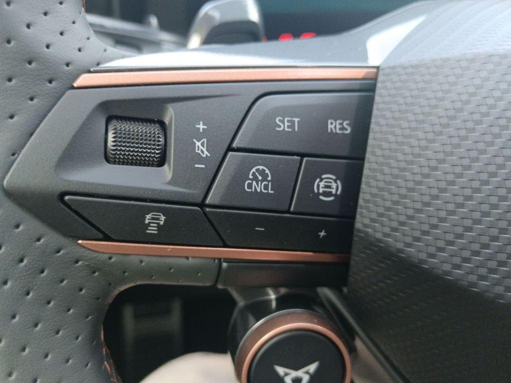 CUPRA Terramar 2.0 TSI VZ DSG 4 Drive 195 kW (265 CV) - 8