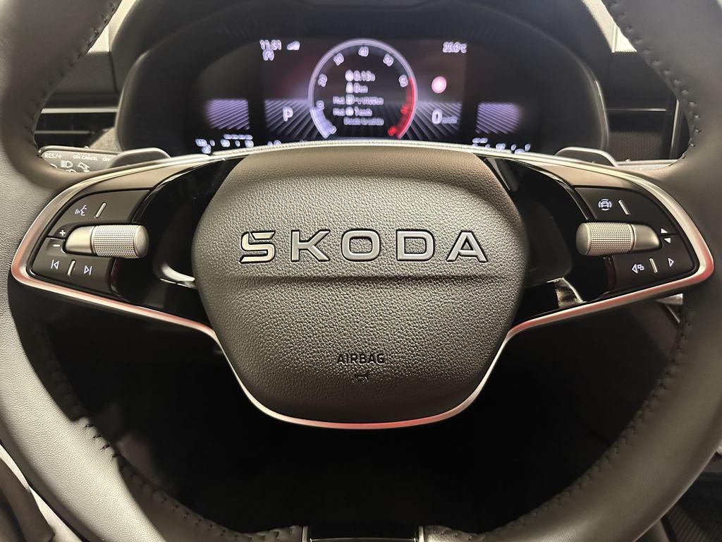 Skoda Kamiq 1.0 TSI Selection DSG 85 kW (115 CV) - 19