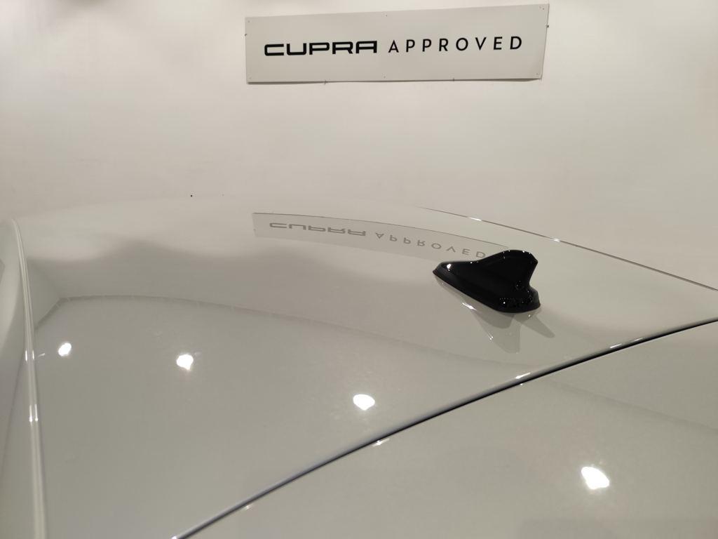 CUPRA León 1.5 eTSI DSG 110 kW (150 CV) - 12