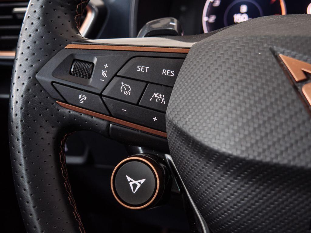 CUPRA Formentor 2.0 TSI VZ 4Drive DSG 228 kW (310 CV) - 13