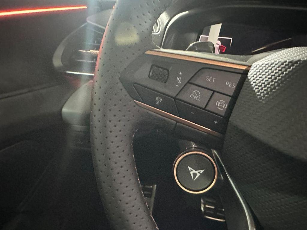 CUPRA Terramar 2.0 TSI VZ DSG 4 Drive 195 kW (265 CV) - 12