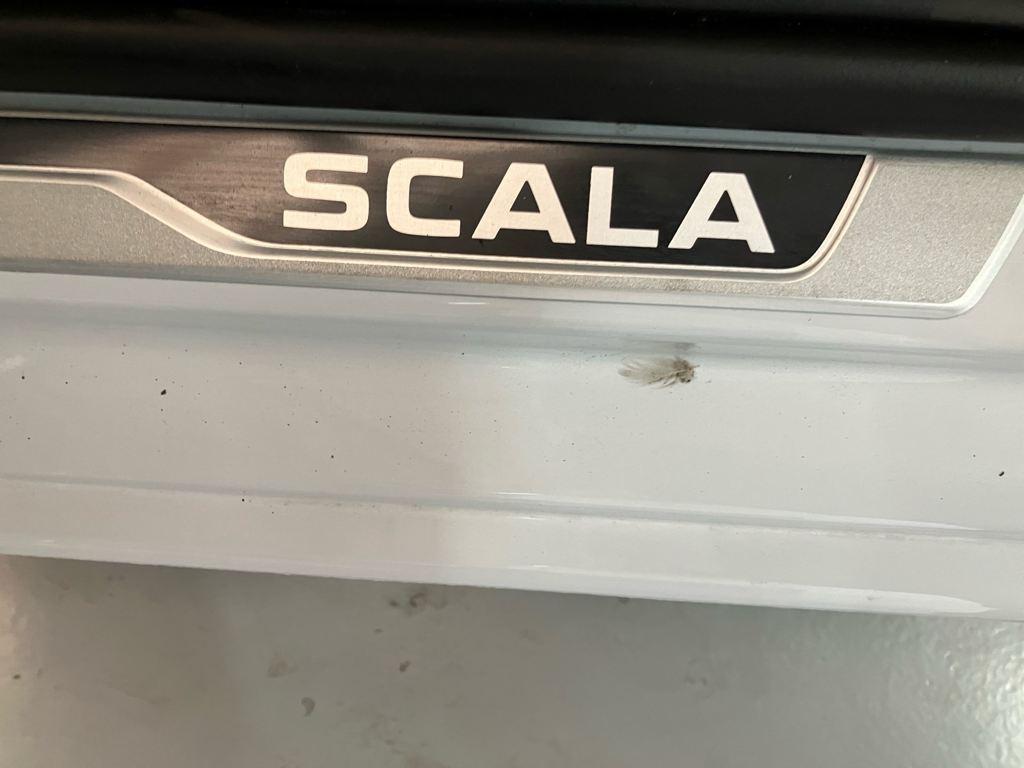 Skoda Scala Design 1.0 TSI DSG 85 kW (115 CV) - 13