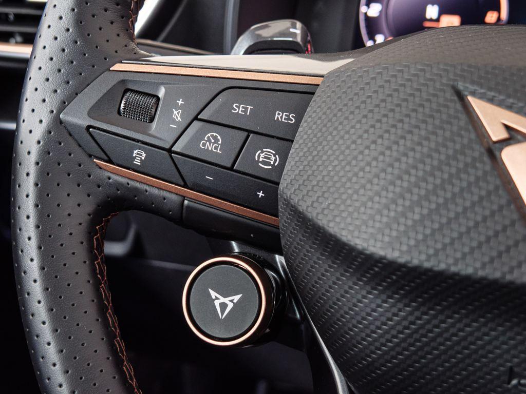 CUPRA Formentor 2.0 TSI VZ 4Drive DSG 245 kW (333 CV) - 12