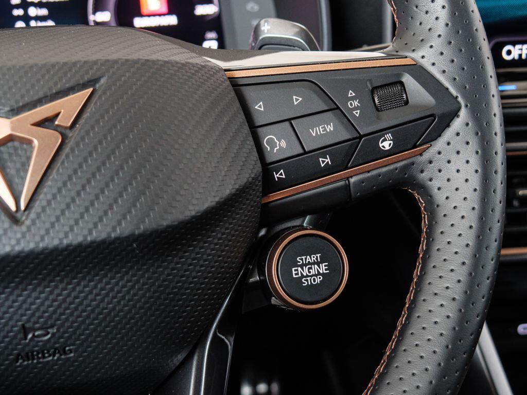 CUPRA Formentor 2.0 TSI VZ 4Drive DSG 245 kW (333 CV) - 13