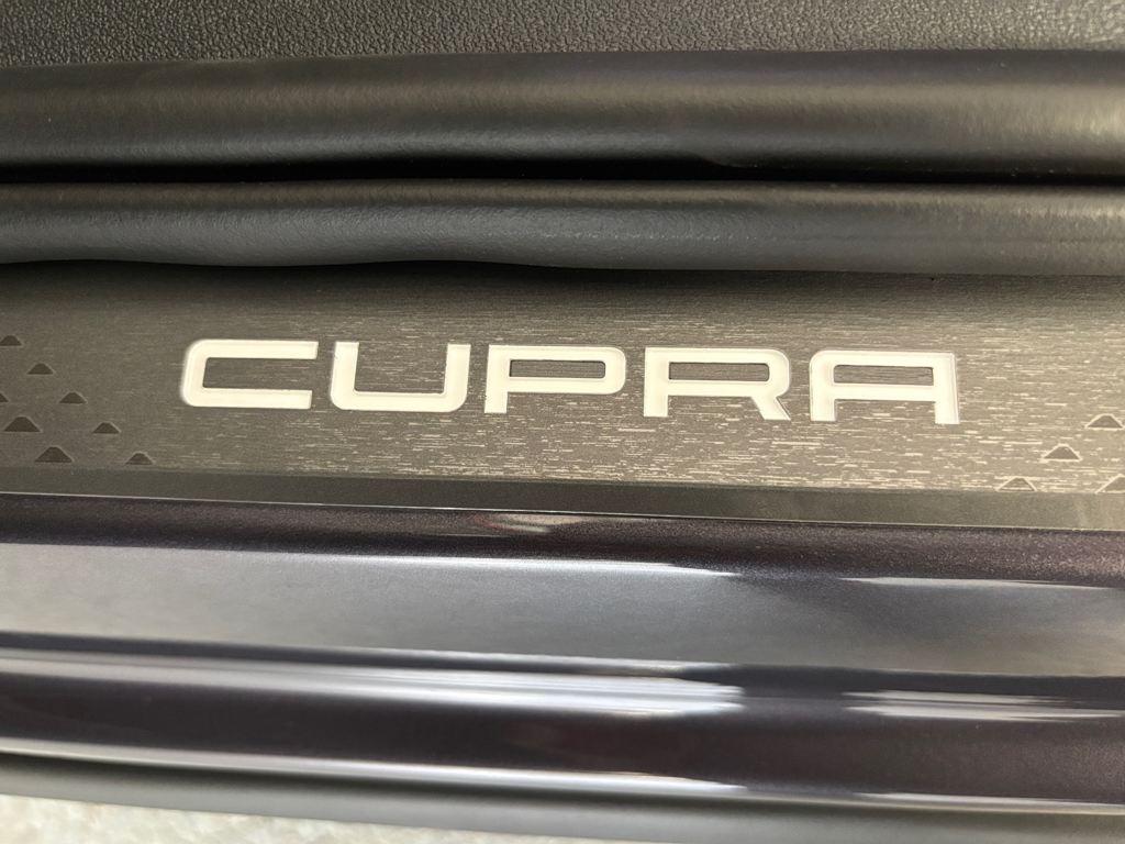 CUPRA Terramar 1.5 eTSI DSG 110 kW (150 CV) - 17