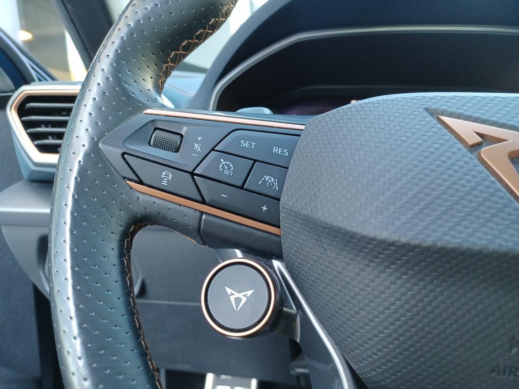 CUPRA Formentor 2.0 TSI VZ 4Drive DSG 228 kW (310 CV) - 13