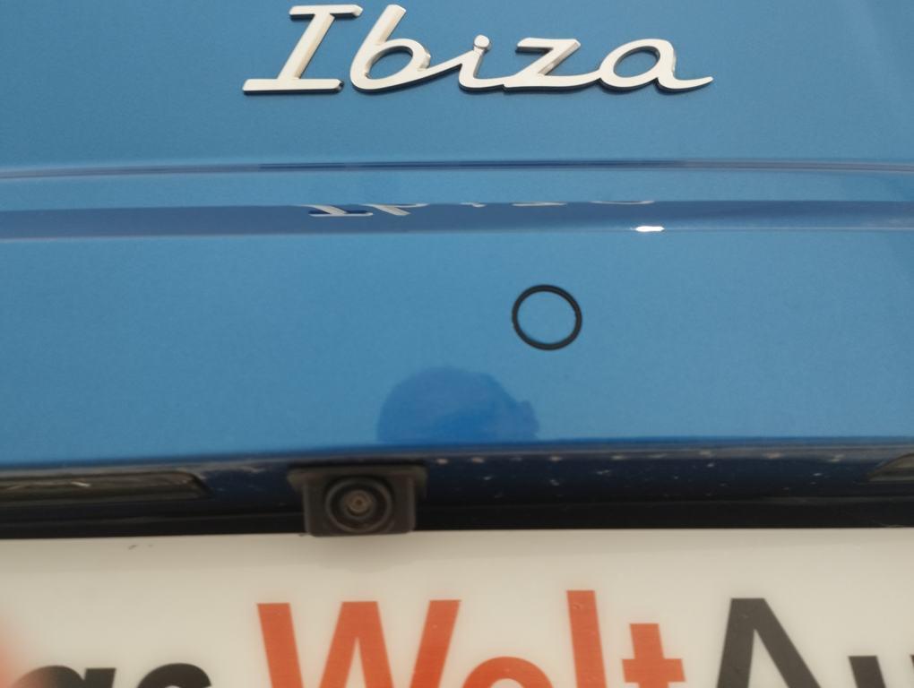 SEAT Ibiza 1.0 TSI FR Salta 85 kW (115 CV) - 9