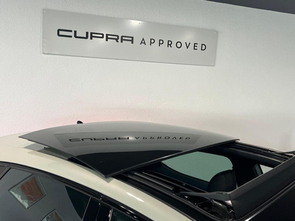 CUPRA León 1.5 TSI 110 kW (150 CV) - 10