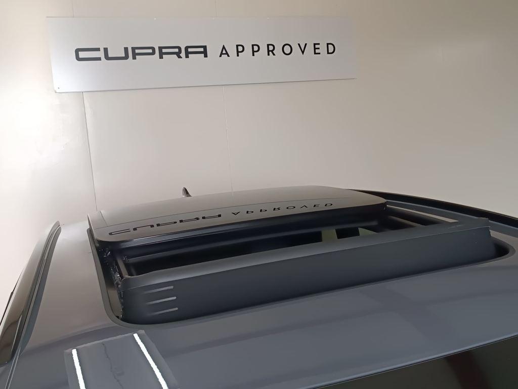 CUPRA Terramar 2.0 TSI VZ DSG 4 Drive 195 kW (265 CV) - 18