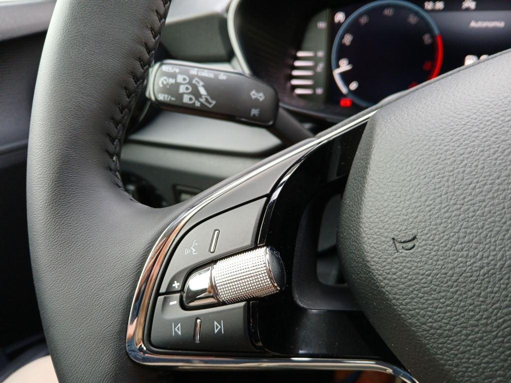 Skoda Fabia 1.0 TSI Selection 70 kW (95 CV) - 13