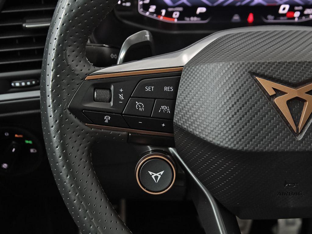 CUPRA Ateca 2.0 TSI 4Drive DSG 221 kW (300 CV) - 13