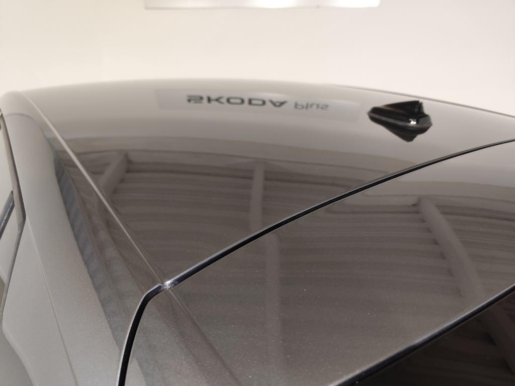 Skoda Fabia 1.0 TSI Selection 85 kW (115 CV) - 11