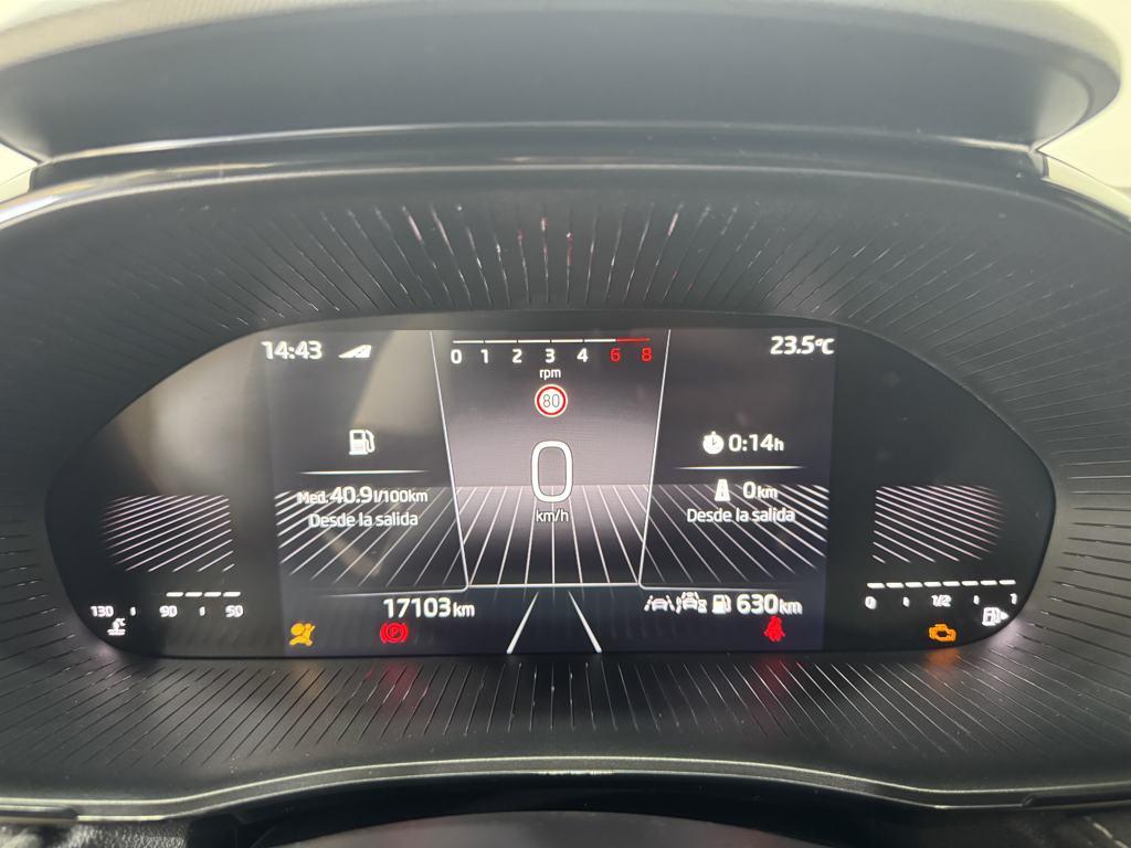 Skoda Fabia 1.0 TSI Design 85 KW (115 CV) - 12