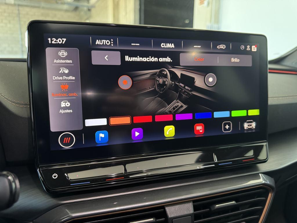 CUPRA Formentor 2.0 TDI 4Drive DSG 110 kW (150 CV) - 16