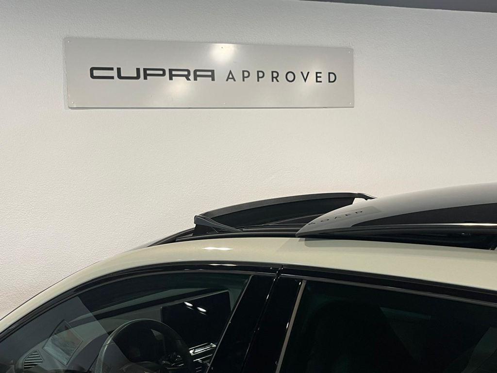 CUPRA León 1.5 eTSI DSG 110 kW (150 CV) - 11