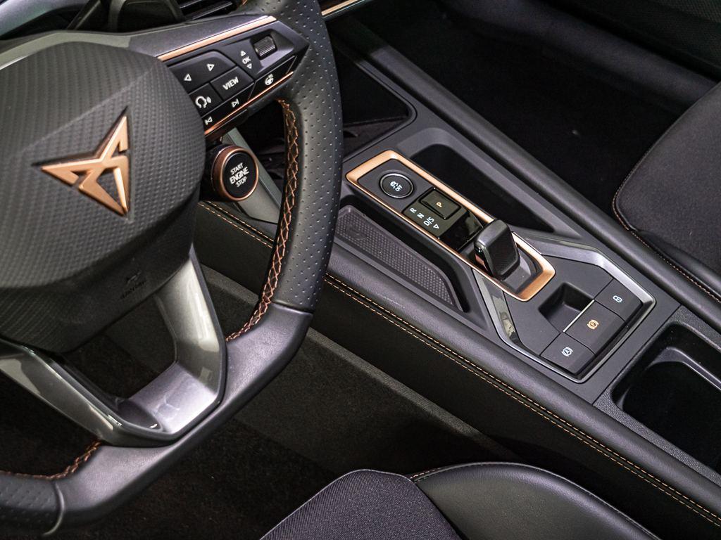 CUPRA Formentor 2.0 TDI 110 kW (150 CV) DSG - 11