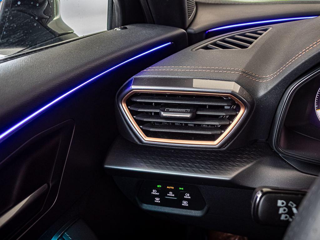 CUPRA Formentor 2.0 TDI 110 kW (150 CV) DSG - 19