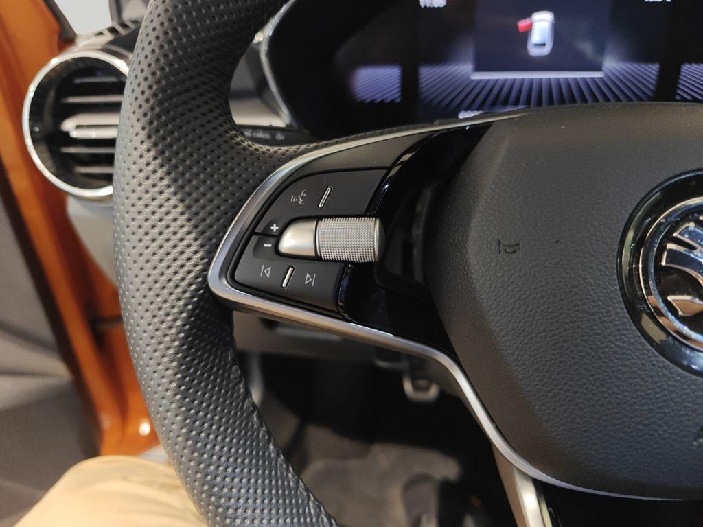 Skoda Fabia 1.0 TSI Design 85 KW (115 CV) - 10