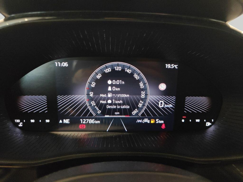 Skoda Fabia 1.0 TSI Design 85 KW (115 CV) - 14