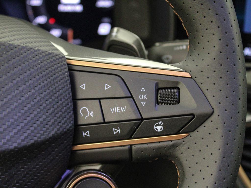 CUPRA Formentor 2.0 TSI 4Drive DSG 150 kW (204 CV) - 14