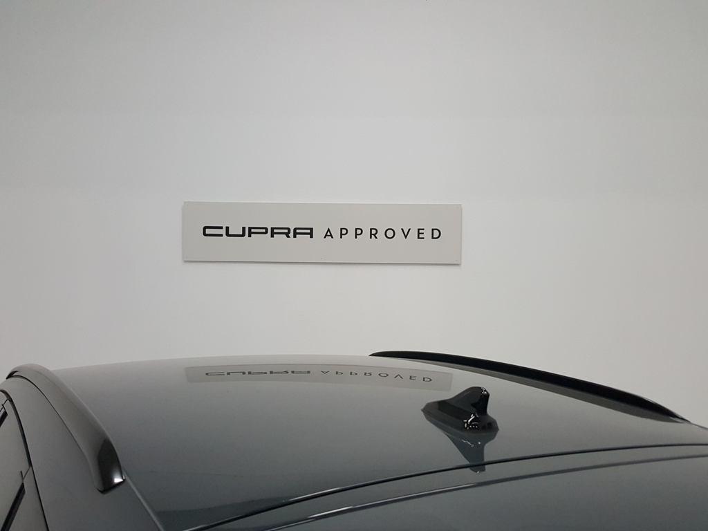 CUPRA Terramar 1.5 eTSI DSG 110 kW (150 CV) - 9