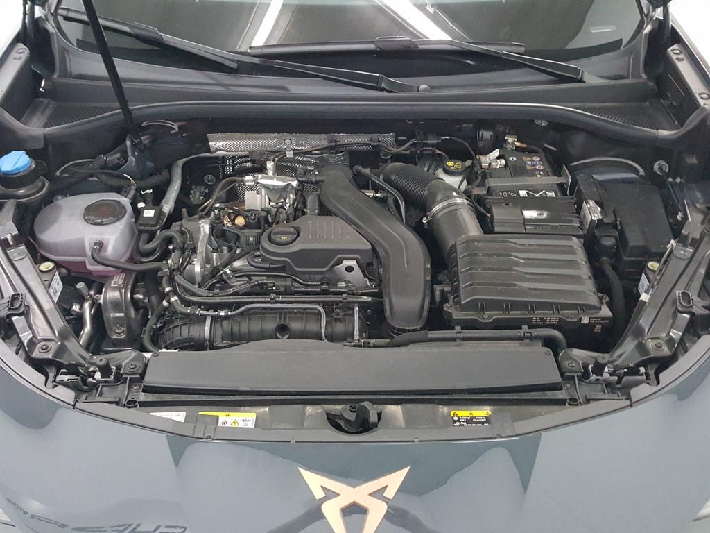 CUPRA Terramar 1.5 eTSI DSG 110 kW (150 CV) - 14