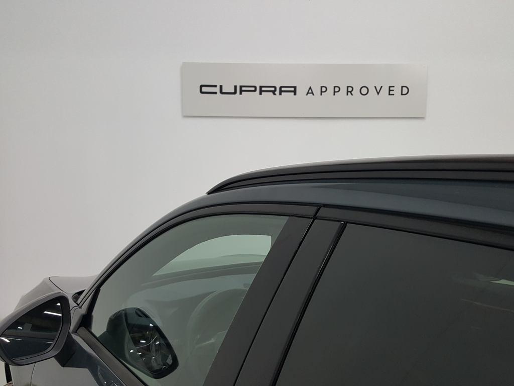 CUPRA Terramar 1.5 eTSI DSG 110 kW (150 CV) - 19