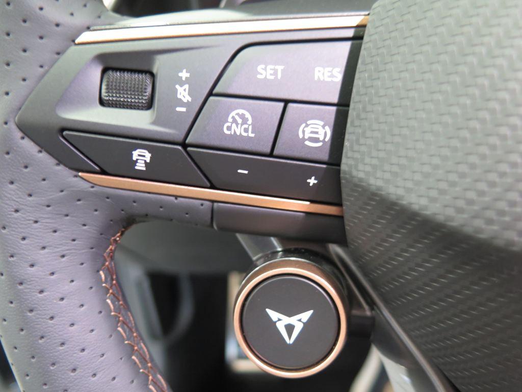 CUPRA Formentor 1.5 TSI e-Hybrid DSG 150 kW (204 CV) - 8