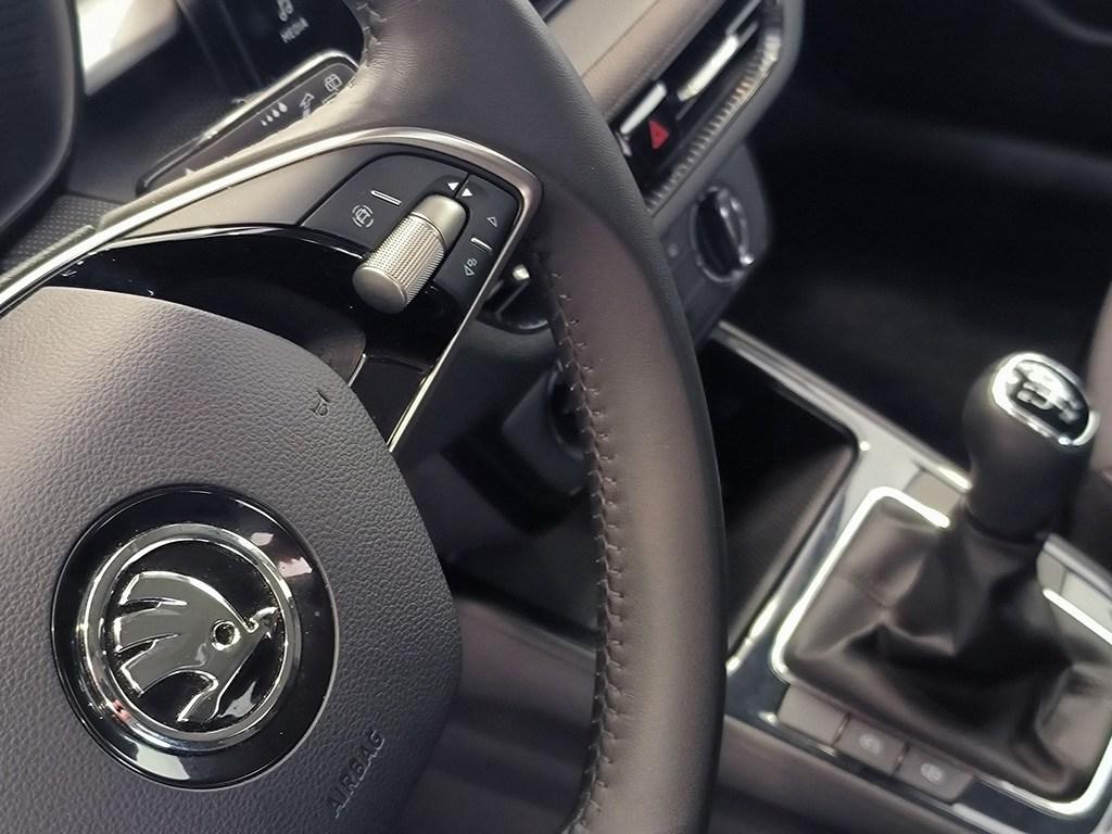 Skoda Fabia 1.0 TSI Selection 70 kW (95 CV) - 12