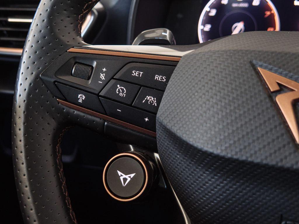 CUPRA Formentor 2.0 TSI VZ 4Drive DSG 228 kW (310 CV) - 14