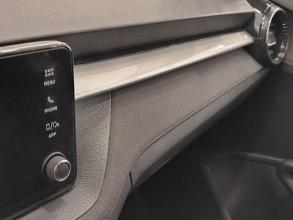 Skoda Fabia 1.0 TSI Selection 70 kW (95 CV) - 12