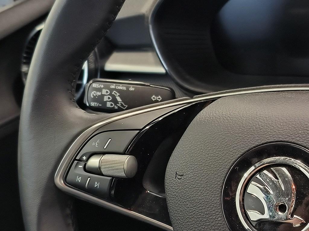 Skoda Fabia 1.0 TSI Selection 70 kW (95 CV) - 14