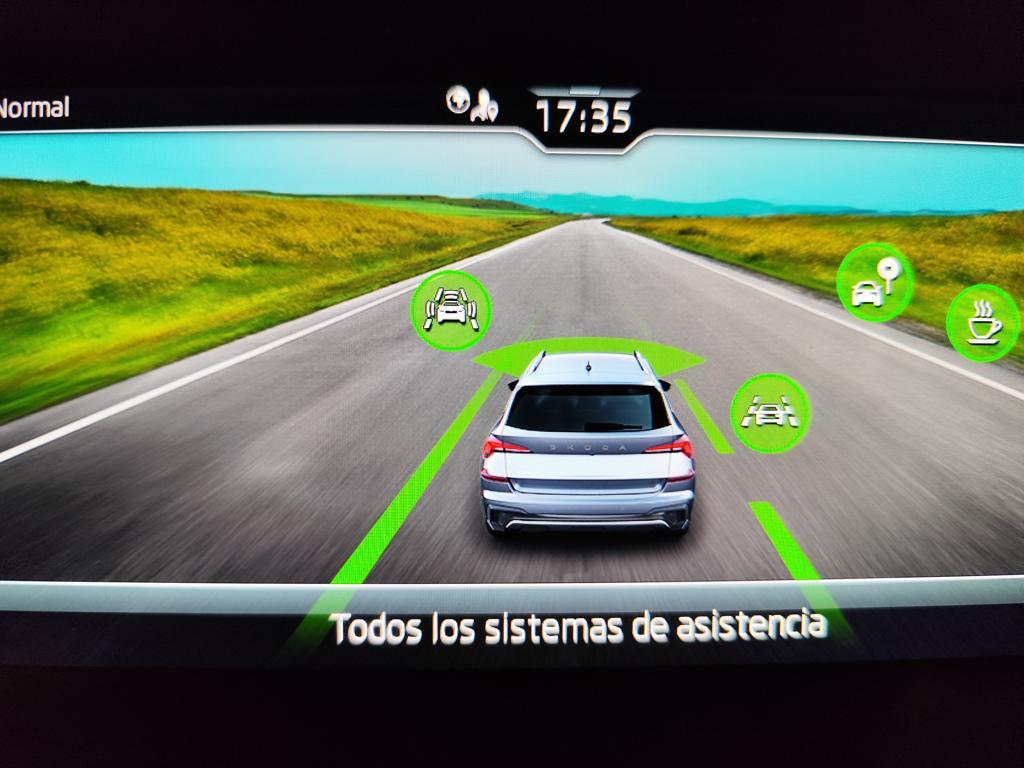 Skoda Kamiq 1.0 TSI Selection 85 kW (115 CV) - 19