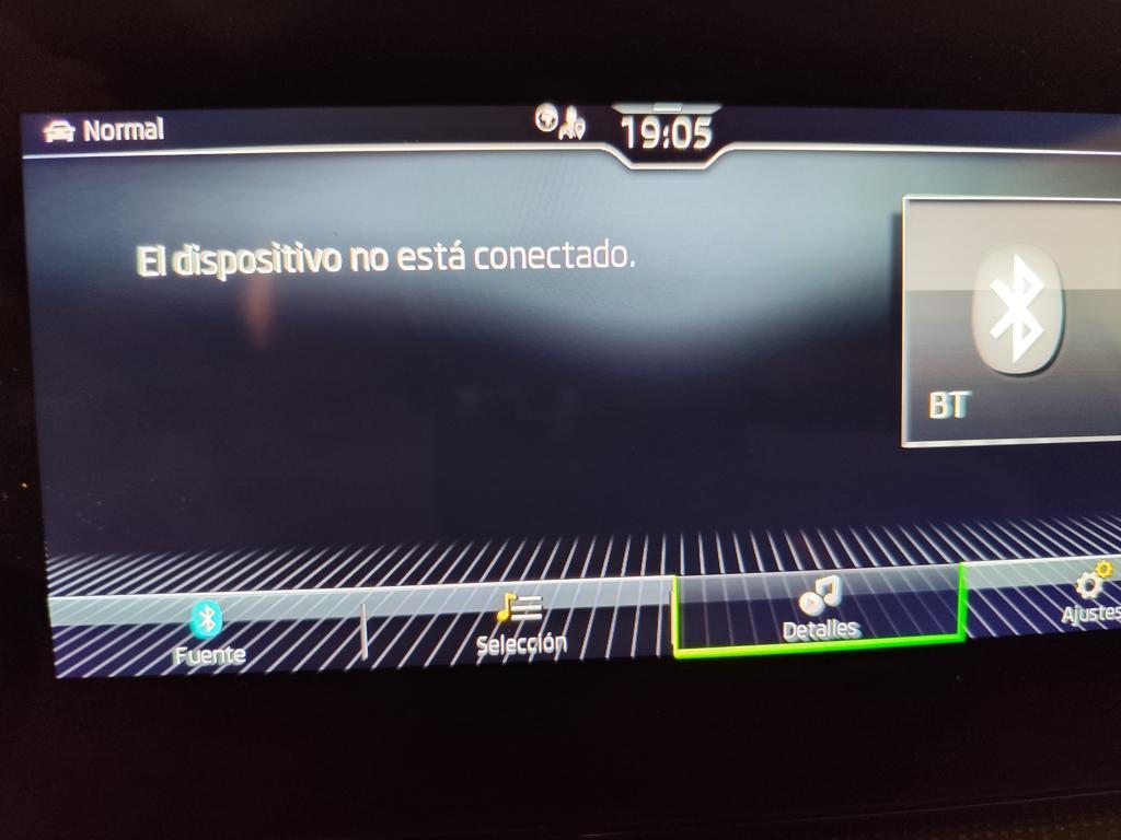 Skoda Kamiq 1.0 TSI Selection 85 kW (115 CV) - 19