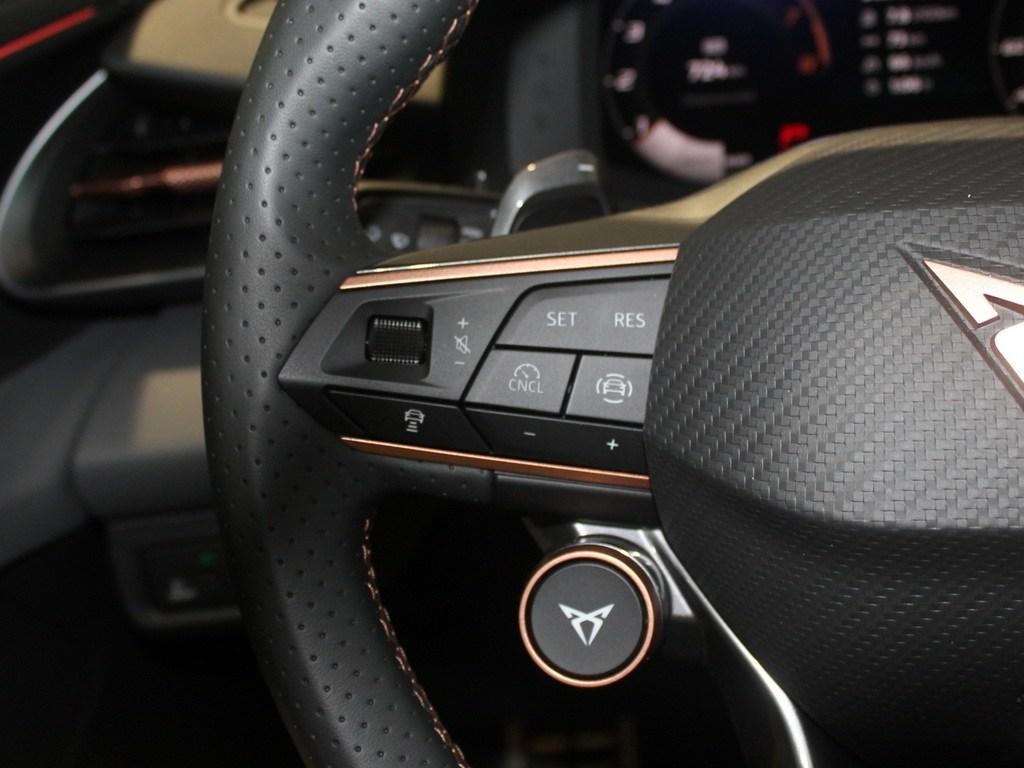 CUPRA Terramar 1.5 eTSI DSG 110 kW (150 CV) - 10