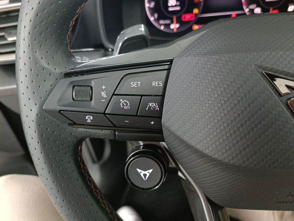 CUPRA Formentor 2.5 TSI VZ5 4Drive DSG 287 kW (390 CV) - 12