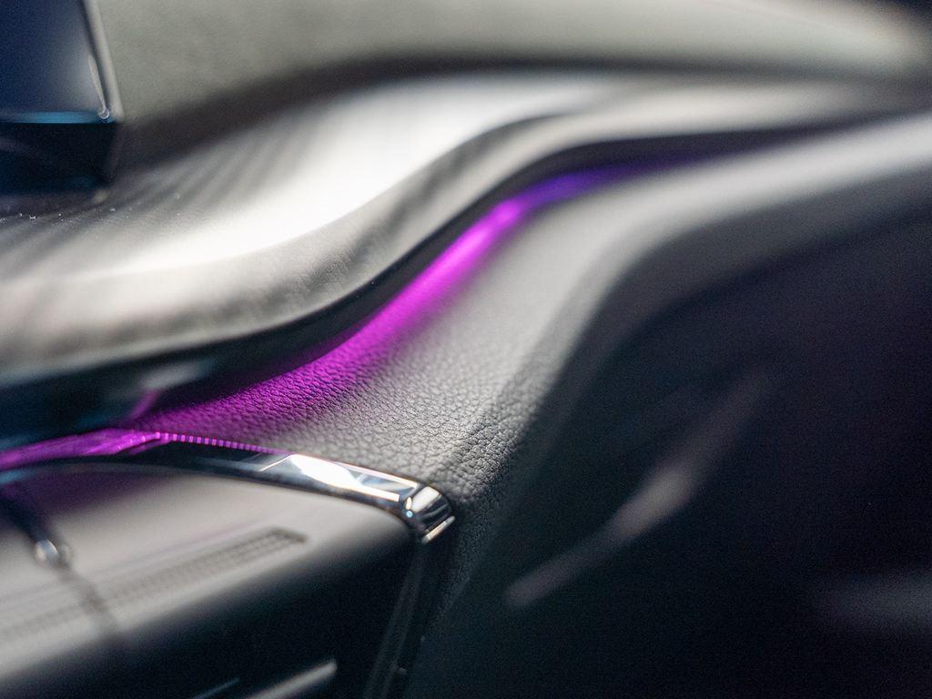 Skoda Octavia 2.0 TSI RS Plus DSG 180 kW (245 CV) - 14