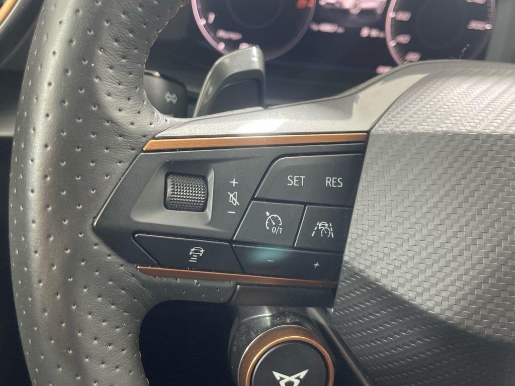 CUPRA Formentor 2.0 TSI VZ 4Drive DSG 228 kW (310 CV) - 8