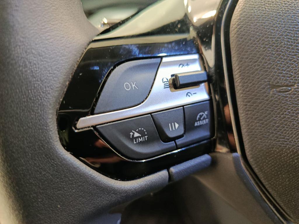 Peugeot 308 Allure Pack BlueHDi 130 S&S EAT8 96 kW (130 CV) - 13